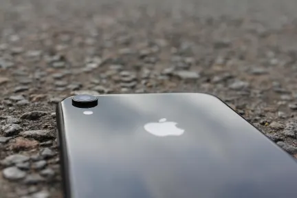 ペリカン カジノ モバイルアプリ